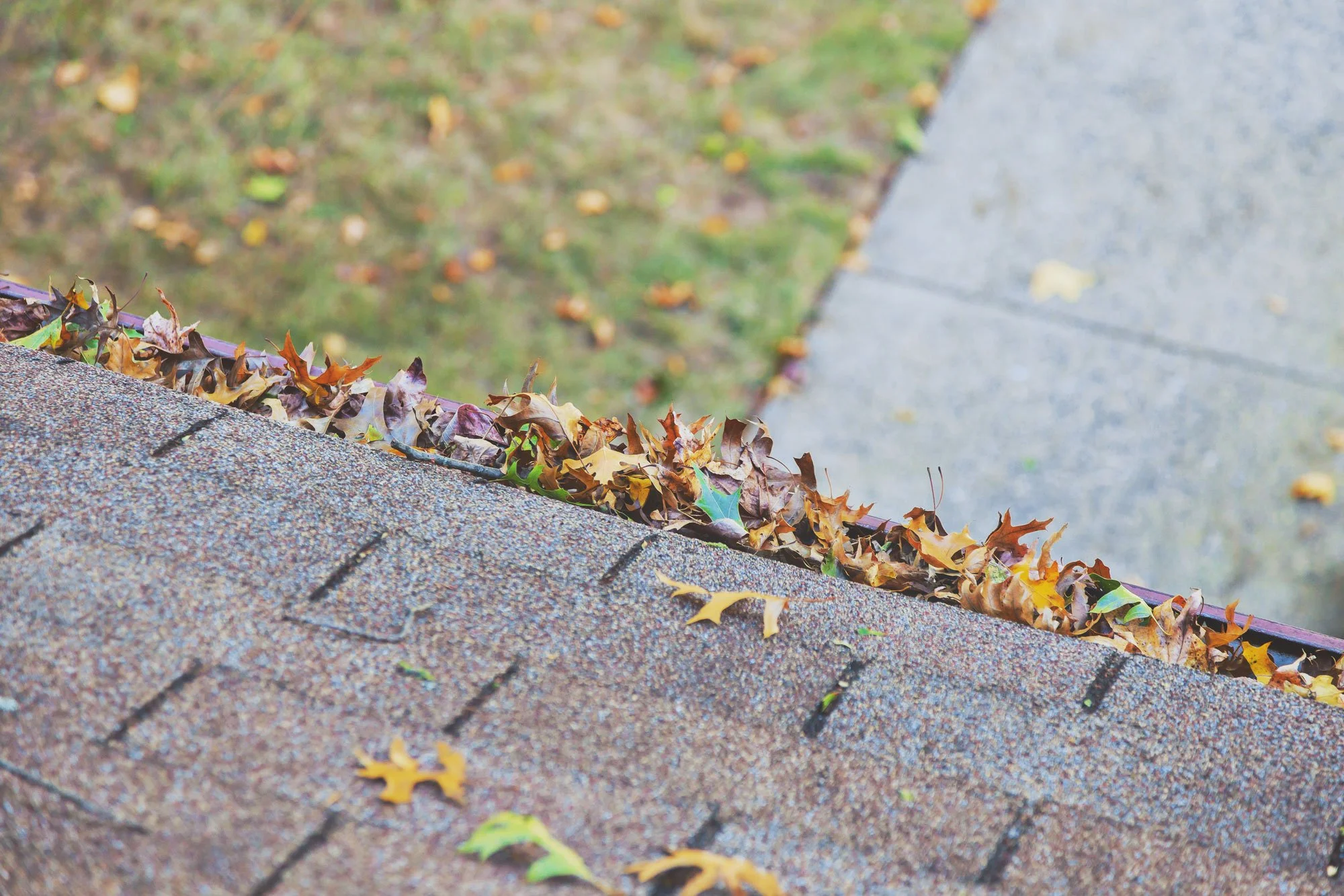 cleaning-gutters-cascella-and-sons